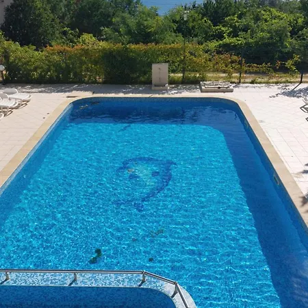 феличита * ビャラ