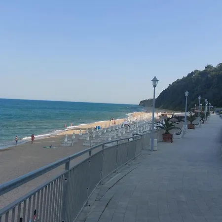 феличита * ビャラ