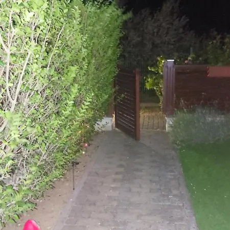 феличита ビャラ