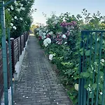 феличита