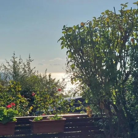 Apartament феличита *