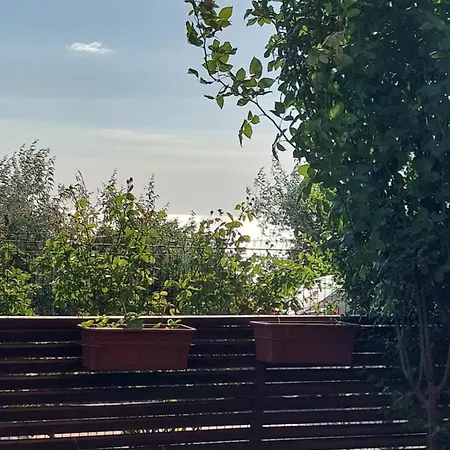 Apartament феличита