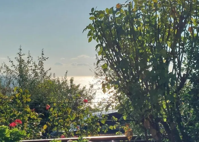 Apartament феличита *