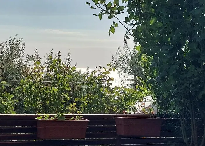 Apartament феличита